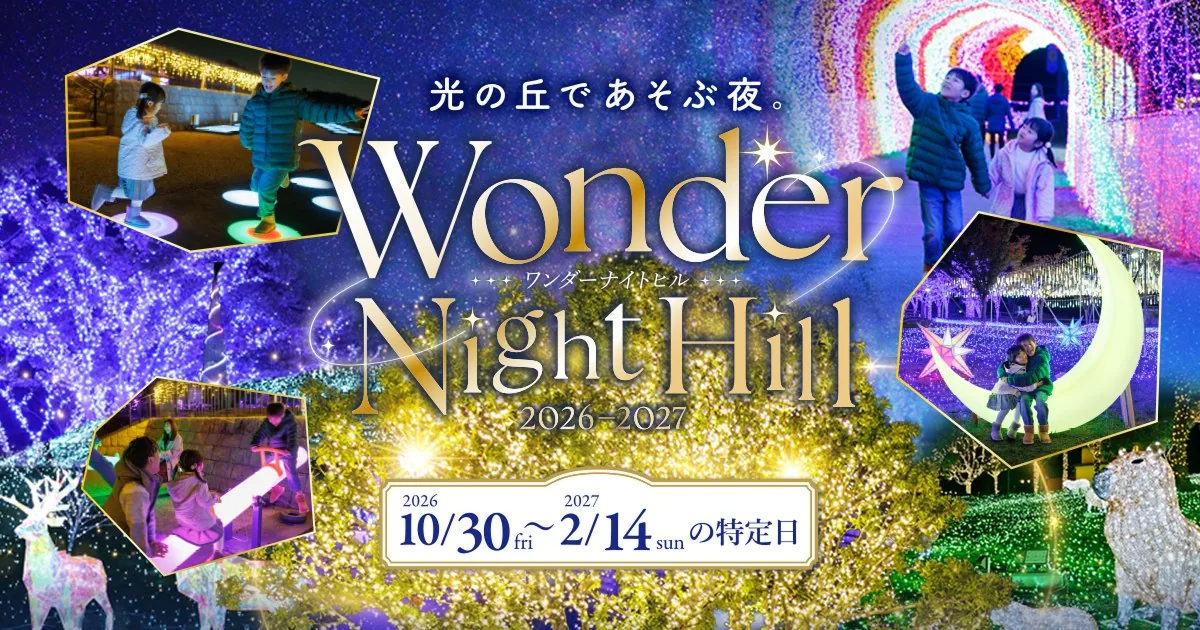 ハーベストの丘 イルミネーション「Wonder Night Hill」の公式チラシ