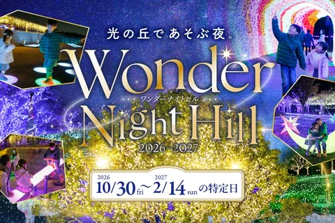ハーベストの丘 イルミネーション「Wonder Night Hill」の公式チラシ(Farm corporation(ハーベストの丘))