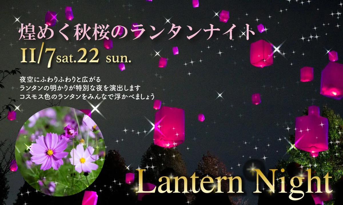 煌めく秋桜のランタンナイト(ハーベストの丘)の公式チラシ