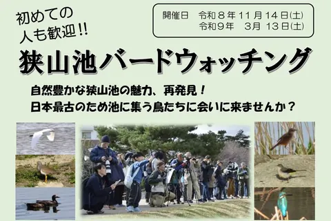 初めての人も歓迎！狭山池バードウォッチング（第1回）の公式チラシ（大阪府立狭山池博物館・大阪狭山市立郷土資料館 協働運営委員会）