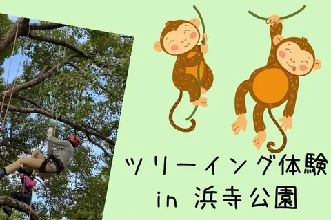 浜寺公園【木登り】ツリーイングイベントの公式チラシ（浜寺公園管理事務所）