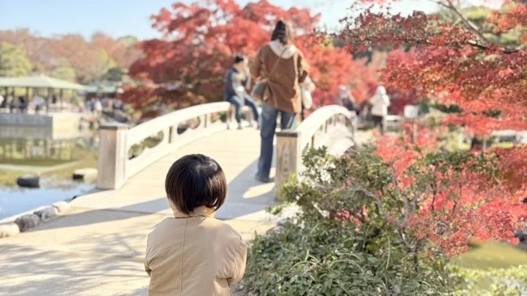 大仙公園の日本庭園。紅葉の中の橋と、子どもの後ろ姿（筆者撮影）